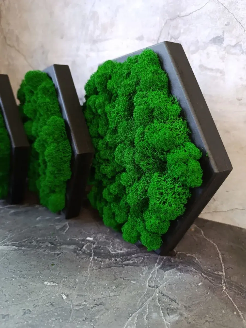 Панно из стабилизированного мха "Соты" набор 3 шт.