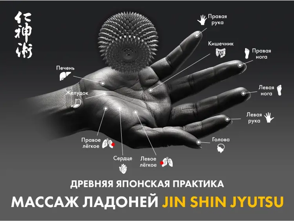 Массажное кресло FUJIMO 氣 Combat 4D Серый