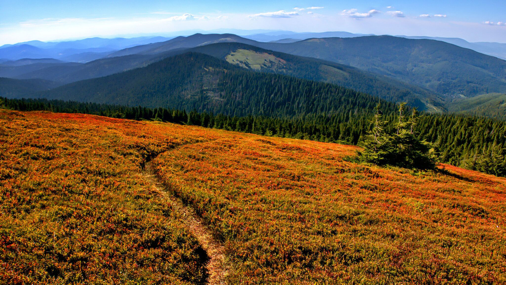 прке