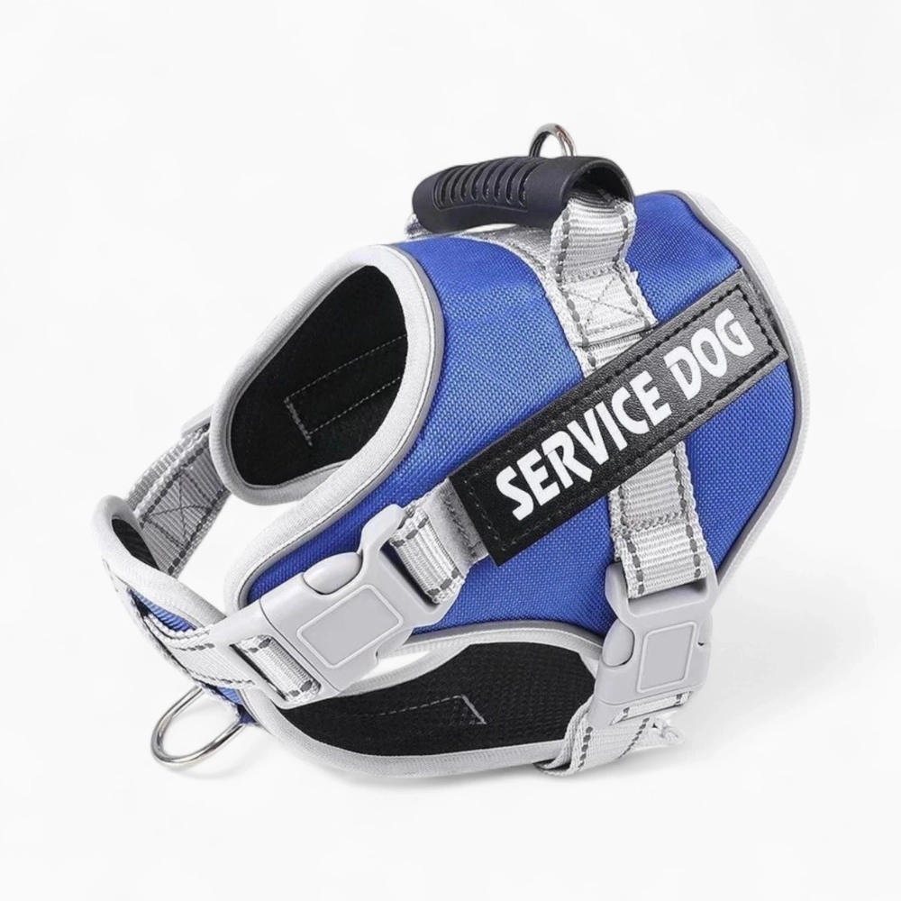 Шлейка и поводок «Service Dog»