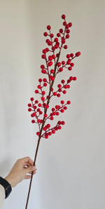 Ягоды / Арт 8036