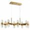 Подвесная светодиодная люстра ST Luce Gemina SL6007.203.16