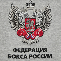 TSR-10386 Костюм спортивный Федерация Бокса России серый