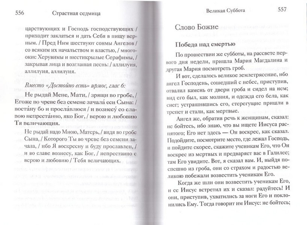 "Вот пост, который Я избрал". О постах Православной Церкви