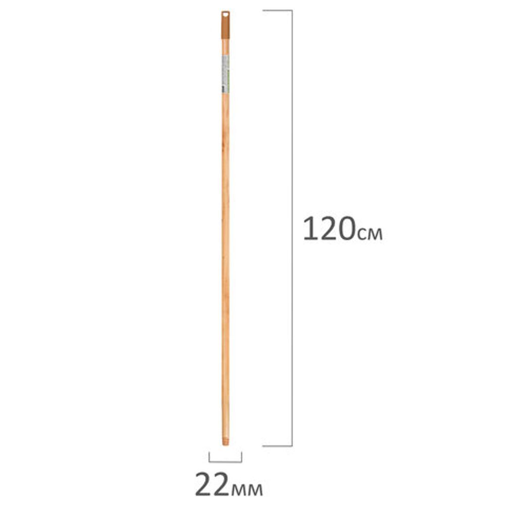 Черенок рукоятка 120 см, еврорезьба, дерево + лак (ЭВКАЛИПТ), d=2,2 см, BOOMHOUSE (БумХаус), 700890