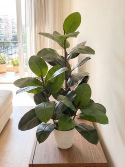 Искусственный Фикус Эластика 100см зеленый в кашпо