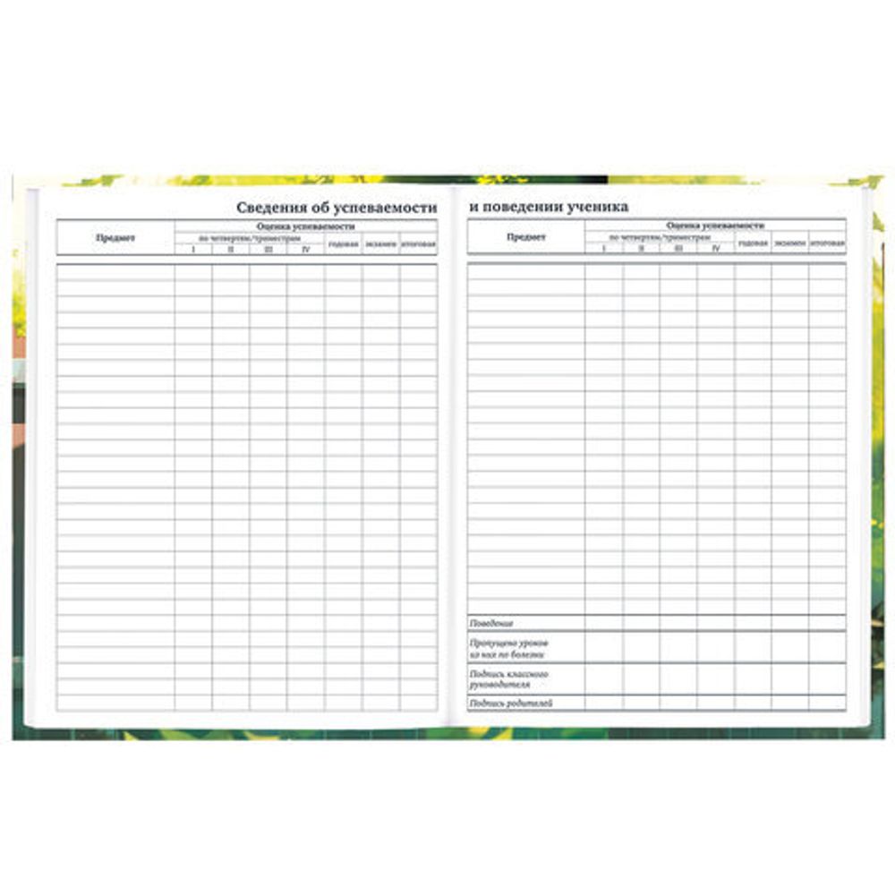 Дневник 1-11 класс 40 л., твердый, BRAUBERG, глянцевая ламинация, "Девочка и кот", 107166