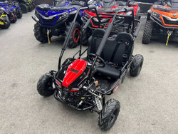 Багги SHARMAX Тигр 250