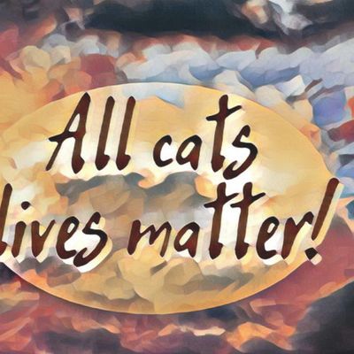 All cats lives matter