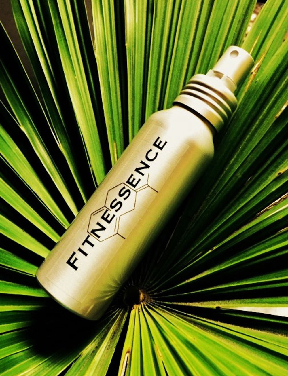 House of Matriarch Fitnessence