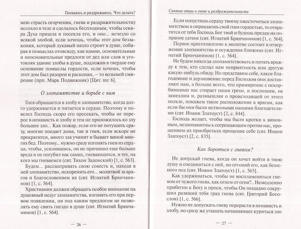 Гневаюсь и раздражаюсь. Что делать? Основы православия
