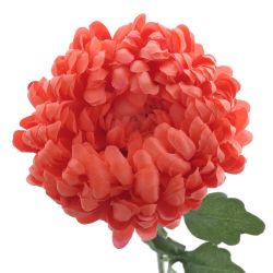 GAEM Цветок искусственный "Георгин", L14 W14 H63 см