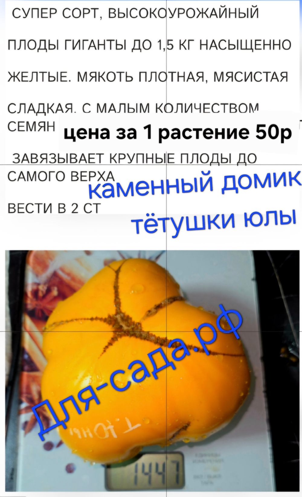 РАССАДА ТОМАТОВ КАМЕННЫЙ ДОМИК Т ЮЛЫ малосемянной