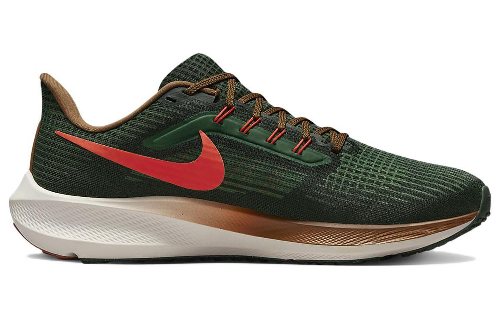 Кроссовки Nike Air Zoom Pegasus 39 "A.I.R. Hola Lou"