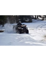 Аудиосистема Boss Audio ATVB95LED