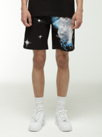 Мужские Шорты Sprinkles Swim