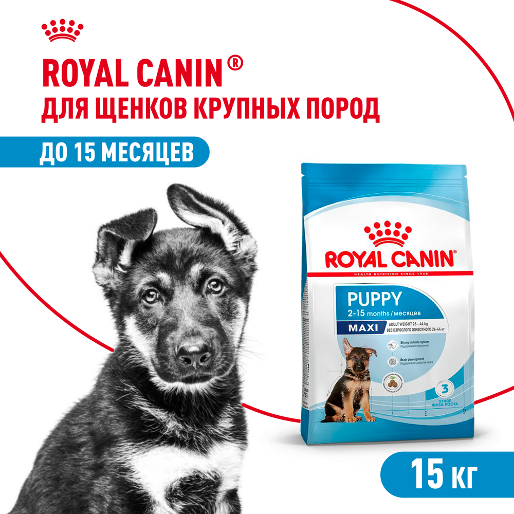 Royal Canin Maxi Puppy Макси Паппи Корм сухой для щенков крупных размеров в возрасте до 15 месяцев 15кг