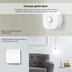 Выключатель умный двухклавишный TP-Link Tapo S210
