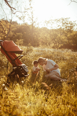 Детская прогулочная коляска Anex AIR-X Ax-01 terracotta