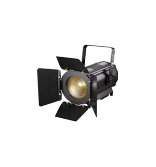 LightCraft Fresnel 600 ZOOM CW+WW