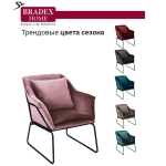 Кресло Bradex Home ALEX пудровый