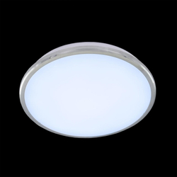 Накладной светильник Citilux CL702221N