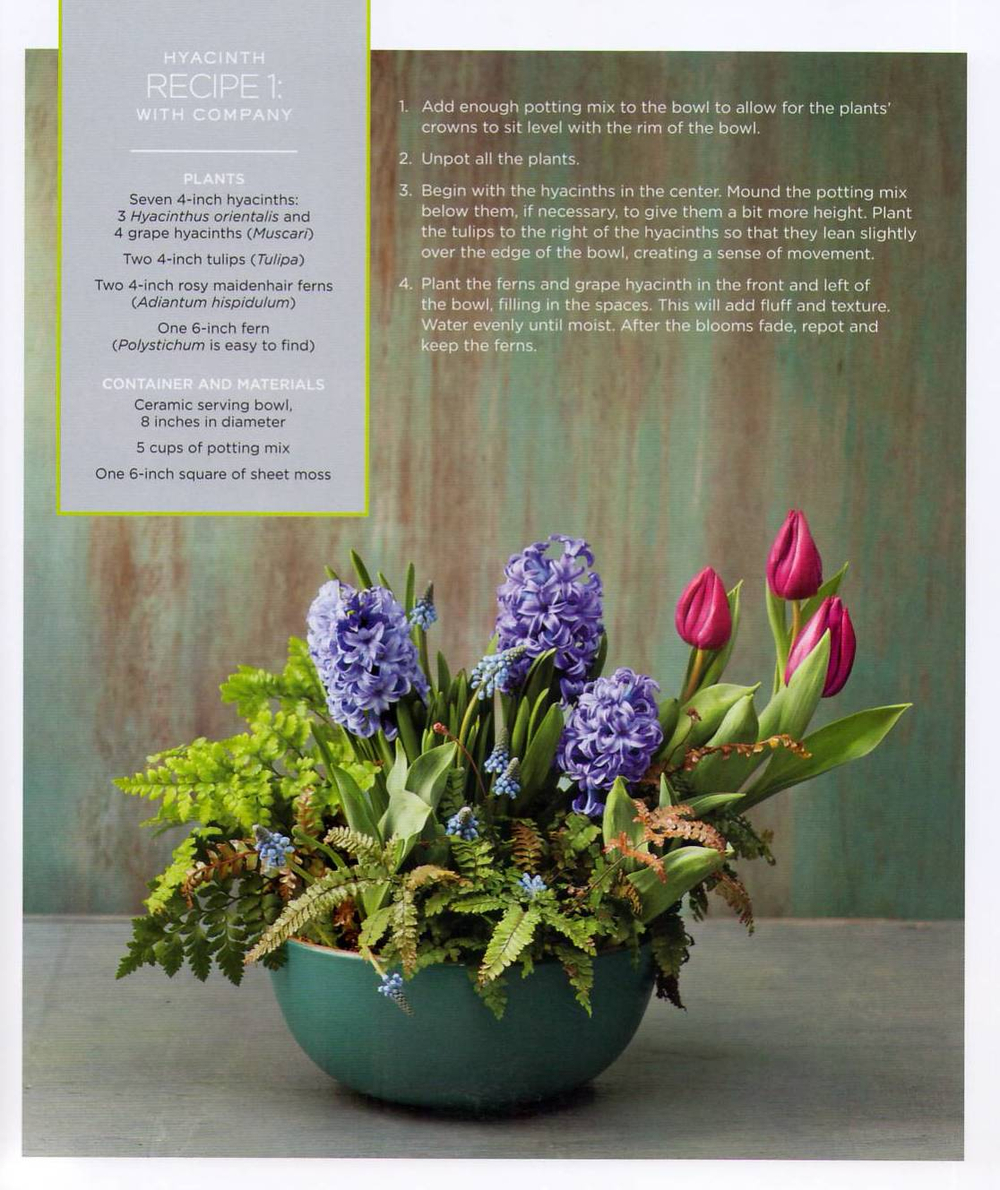 The Plant Recipe Book: 100 Living Arrangements for Any Home in Any Season
