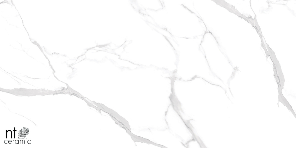 Керамогранит Statuario Ultra White NTT99512M 600*1200 полированный