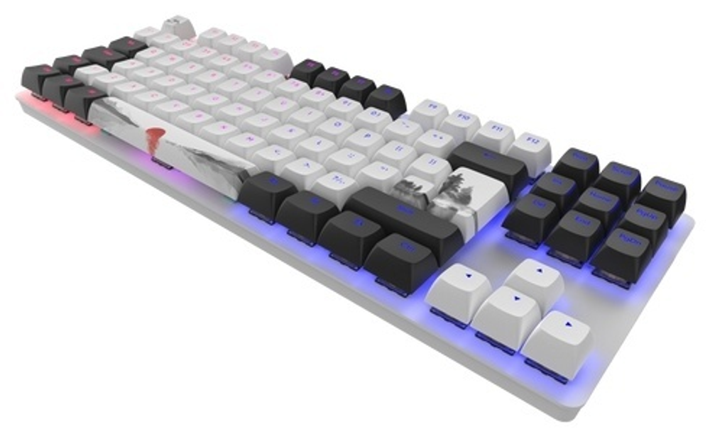 КЛАВИАТУРА DARK PROJECT ONE 87 FUJI