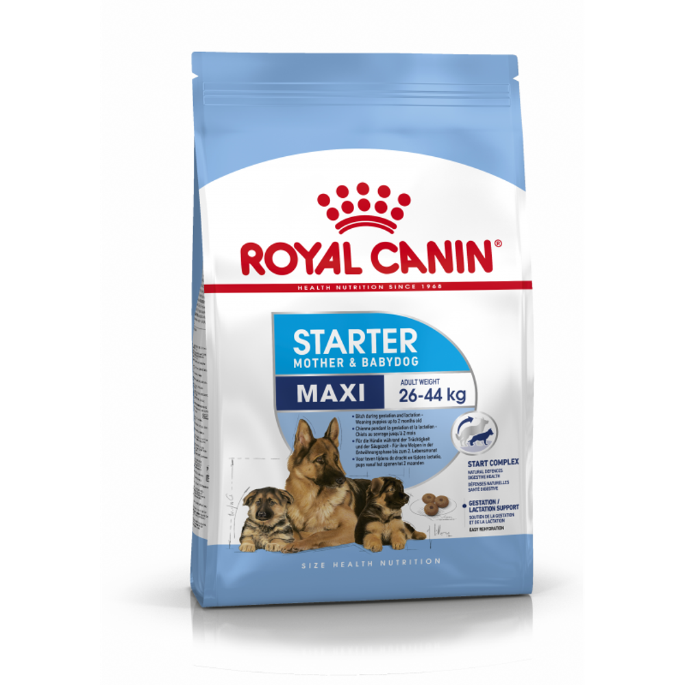 Royal Canin Maxi Starter Макси Стартер мазэ энд бэбидог Корм для щенков крупных пород до 2-х месяцев беременных и кормящих собак 15кг