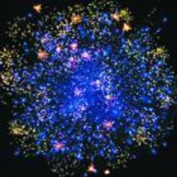 Пантера (0,8" х 5) Р5510