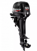 Лодочный мотор GLADIATOR G9.9PRO FES