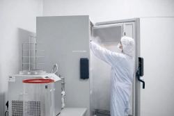 Проведение исследований на культурах клеток