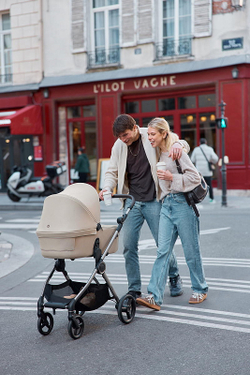 Детская коляска Anex iQ Premium NT 2 в 1 iQ-13-DNA seal