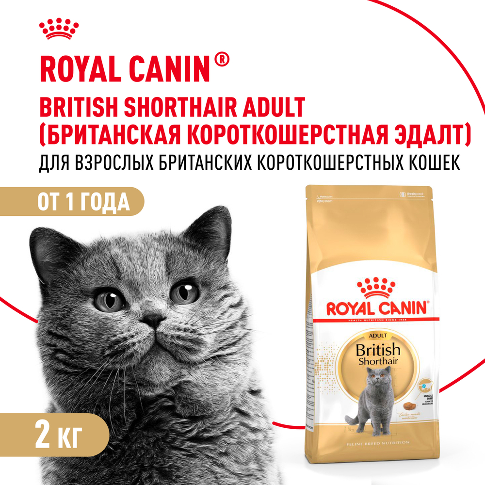 Royal Canin British Shorthair Adult Корм сухой для взрослых британских кошек 2кг
