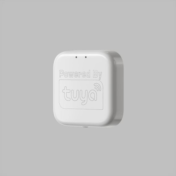 WIFI конвертер Denkirs Smart Control DK7400-WF