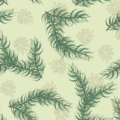 Еловые веточки и шишки