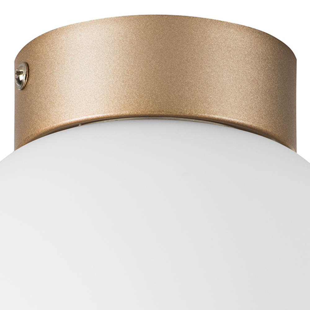 812013 Люстра GLOBO 1х40W E14 ШАМПАНЬ/БЕЛЫЙ