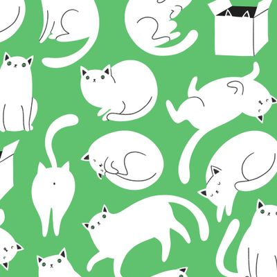 Котики