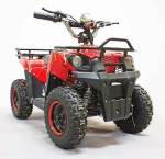 Электроквадроцикл Green Camel Гоби K40 (36V 800W R6 Цепь) быстросъем