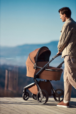 Детская коляска Anex l/type 3 в 1 Hazel