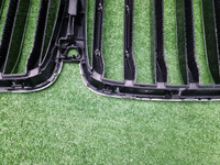 Решетка радиатора BMW X7 G07 (2019-2022)