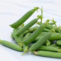 АМАЛФИ семена гороха (Syngenta | Alexagro)