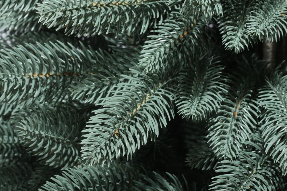 Голубая ель искусственная «Лагуна» (Литая хвоя) 3 м