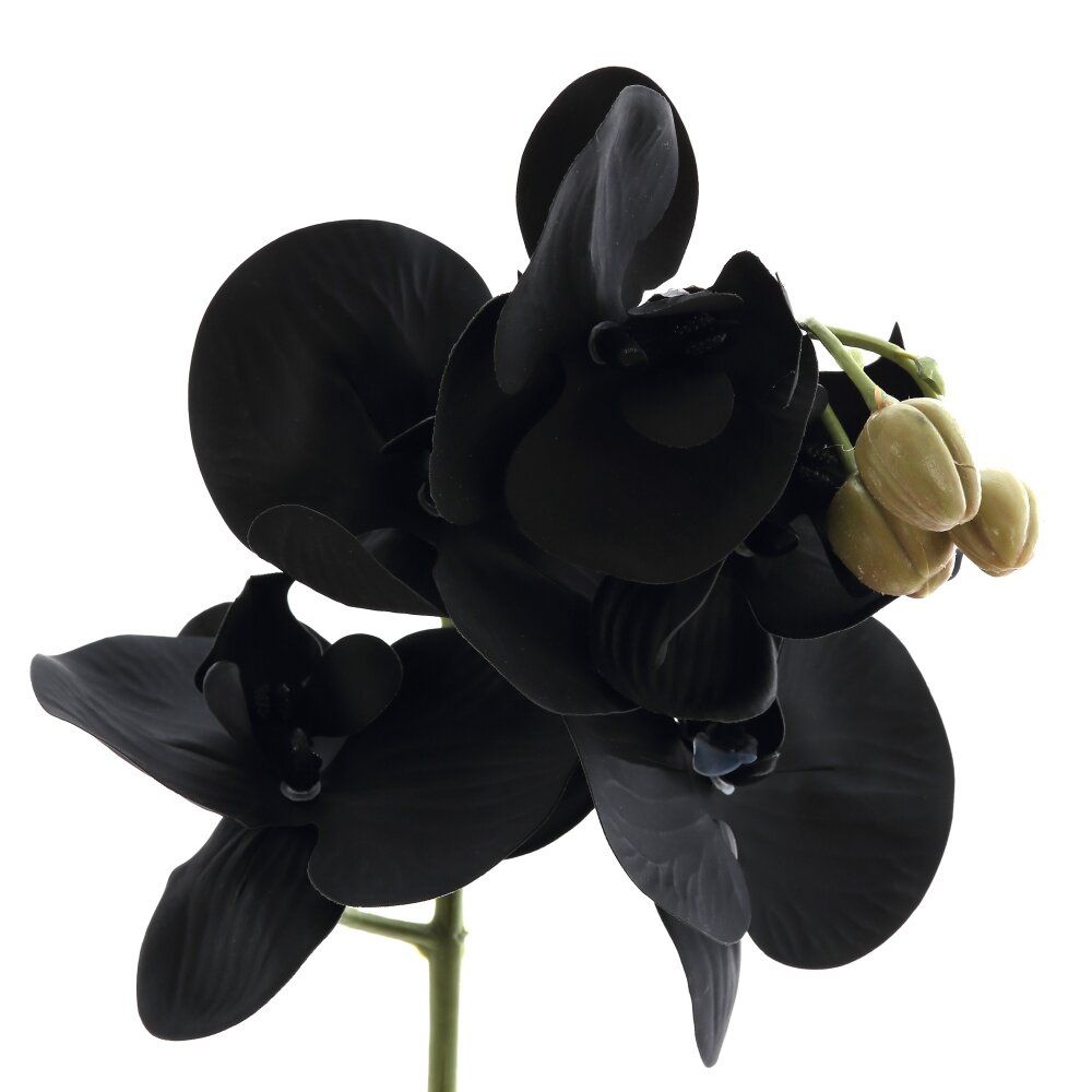 GAEM Цветочная композиция, L W H45 см