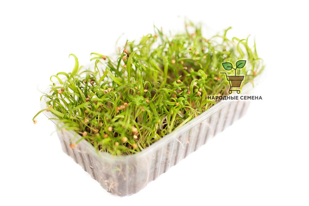 Шпинат Матадор семена