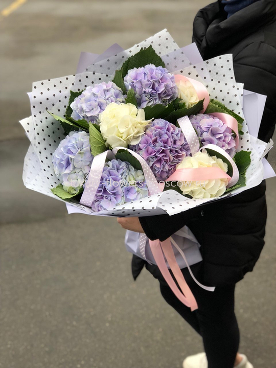 Микс гортензий 78