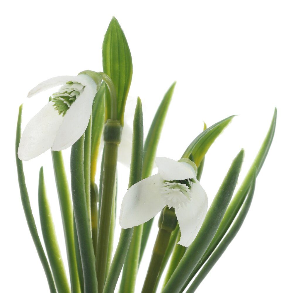 GAEM Цветочная композиция "Подснежники", L9 W9 H21 см