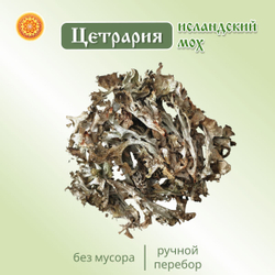 Исландский мох цетрария, 100 г.