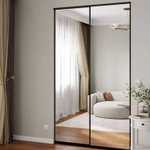 Дверь-купе ARISTO SLIM MAX, зеркало, профиль черный матовый